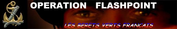 banierebvf.jpg (12455 octets)